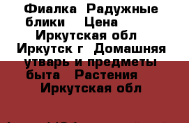 Фиалка “Радужные блики“ › Цена ­ 160 - Иркутская обл., Иркутск г. Домашняя утварь и предметы быта » Растения   . Иркутская обл.